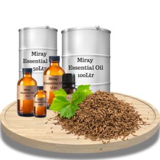 Caraway Essential Oil - Warm spicy aroma for herbal and aromatic blends.