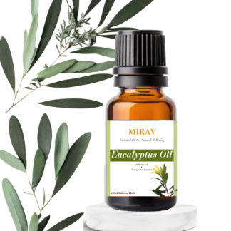 Eucalyptus Essential Oil
