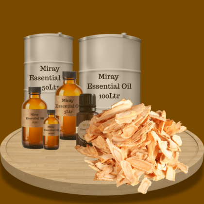 Angelica Root Essential Oil