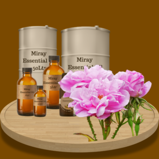 Bulgarian Rose