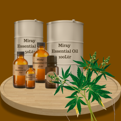 Cajeput Essential Oil