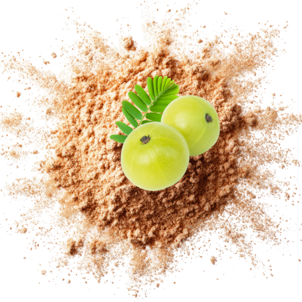 Amla Powder