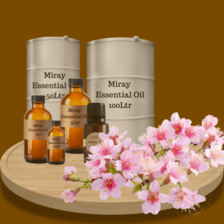 Cherry Blossom