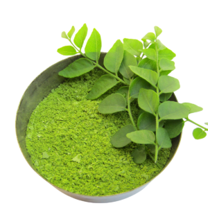 Curry Leaves Powder