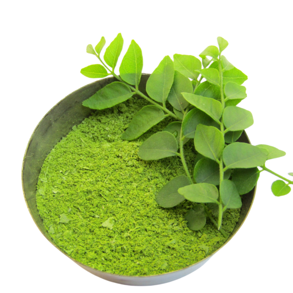 Curry Leaves Powder