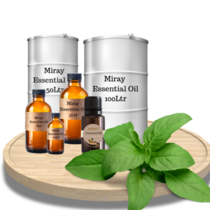 Basil (Sweet) Essential Oil - herbal aroma for clarity and uplifting blends.