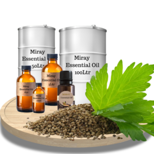 Celery Seed Celery Seed Essential Oil - Warm herbal-spicy aroma for natural wellness and balanced blends.