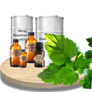 Patchouli Dark Essential Oil - Deep earthy richness for bold fragrances, lasting depth, and grounding blends.