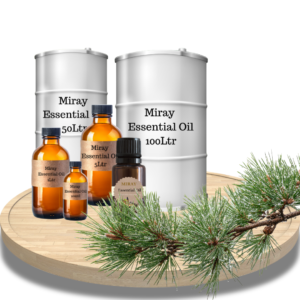 Pine Needle Essential Oil - Fresh forest vitality for purification, clarity, and energizing blends.