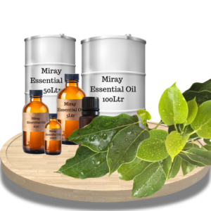 Ravintsara Essential Oil - Fresh camphoraceous clarity for purification, balance, and revitalizing blends.