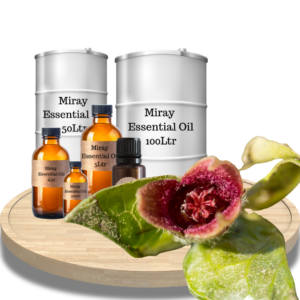 Spikenard Essential Oil - Deep earthy serenity for grounding, meditation, and timeless wellness.